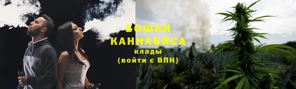 крисы Медногорск