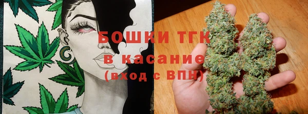 крисы Медногорск